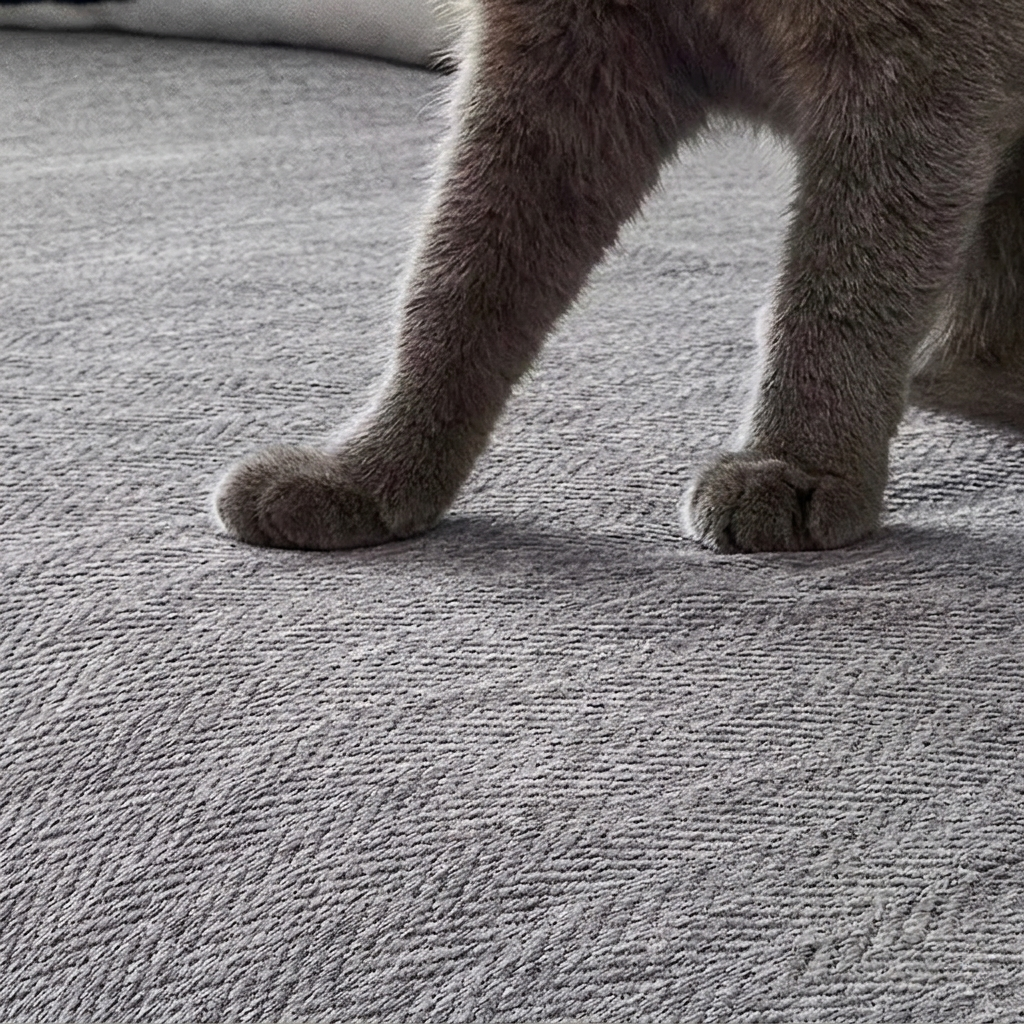 Herringbone Chenille Couch Blanket